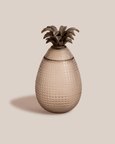 Pineapple Glass Jar