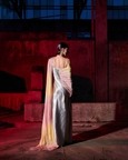 The Infrared Saree Dress