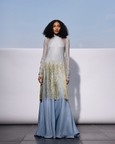 The Sky Mesh Dress