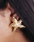 Seaside Starfish Studs