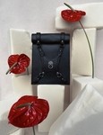 Midnight Muse In Black
