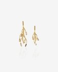 Ciara Earrings