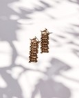 Fish Ladder Earrings