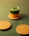 Hamaare Coasters