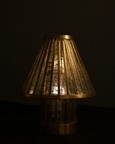 Fossil Portable Table Lamp