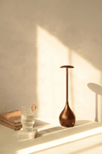Beam Portable Lamp
