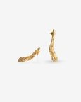 Oak curved earrings