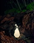 Pebble Table Lamp
