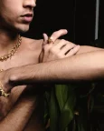 Python Ring