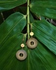 Rhea Gold Dot Fall