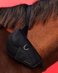Mustang Saddle Fanny