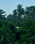 Tusker Table Lamp