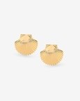 Shell Top Earrings (Gold)