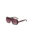 William S. Tortoise Shell Brown Sunglasses