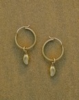 Gold Mango Hoops