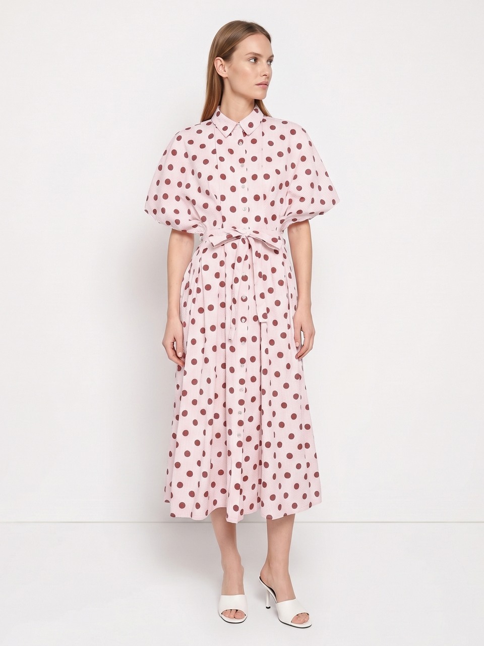 Erine Polka Dress