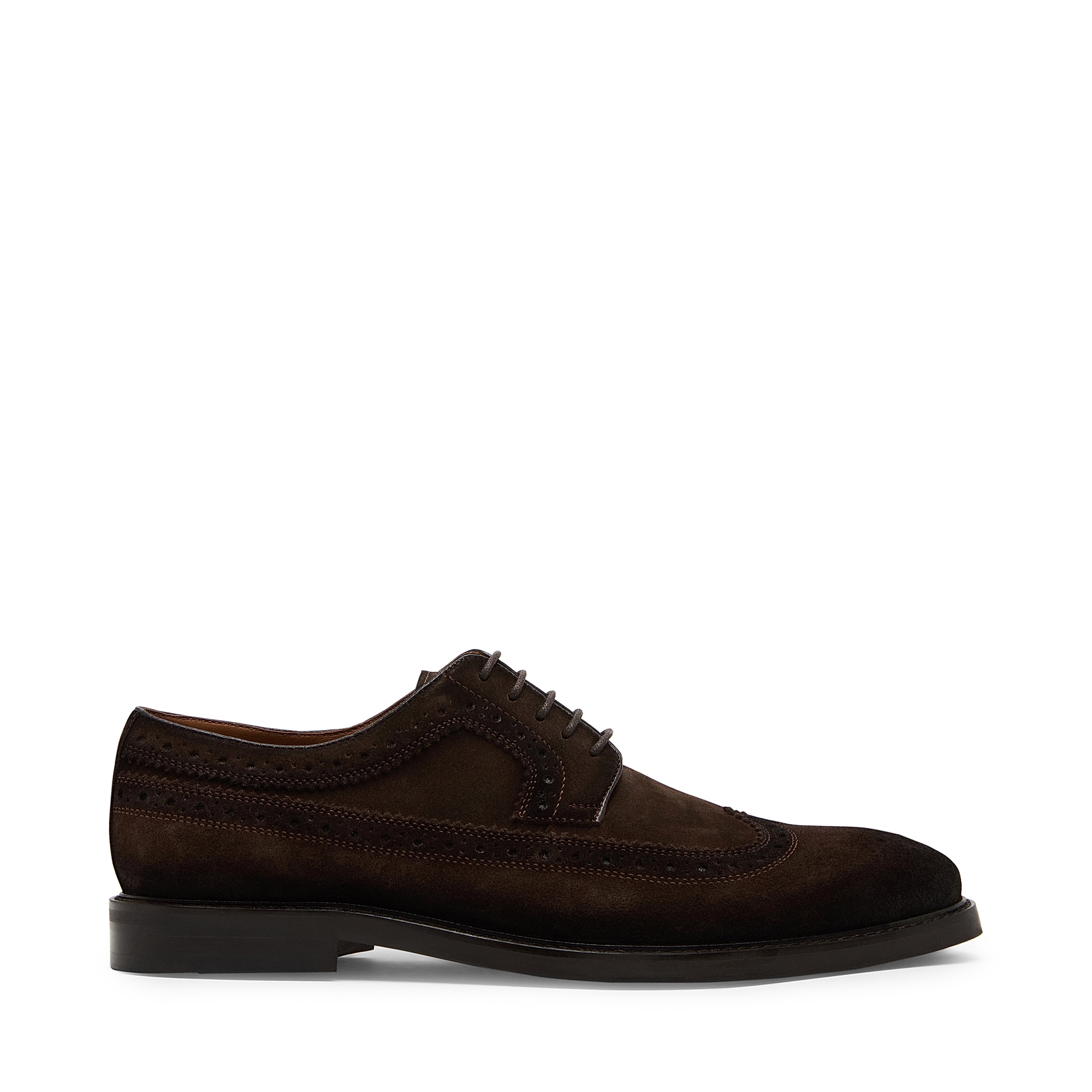 Men Sale formal shoes | Steve Madden