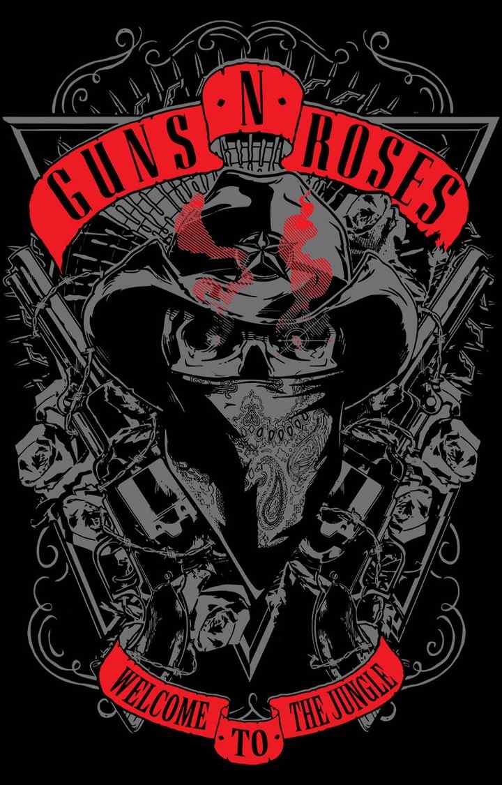 Official Guns N' Roses Surfer Crop T-Shirt For Men - Soft, Lightweight, True To Size Band Merch
