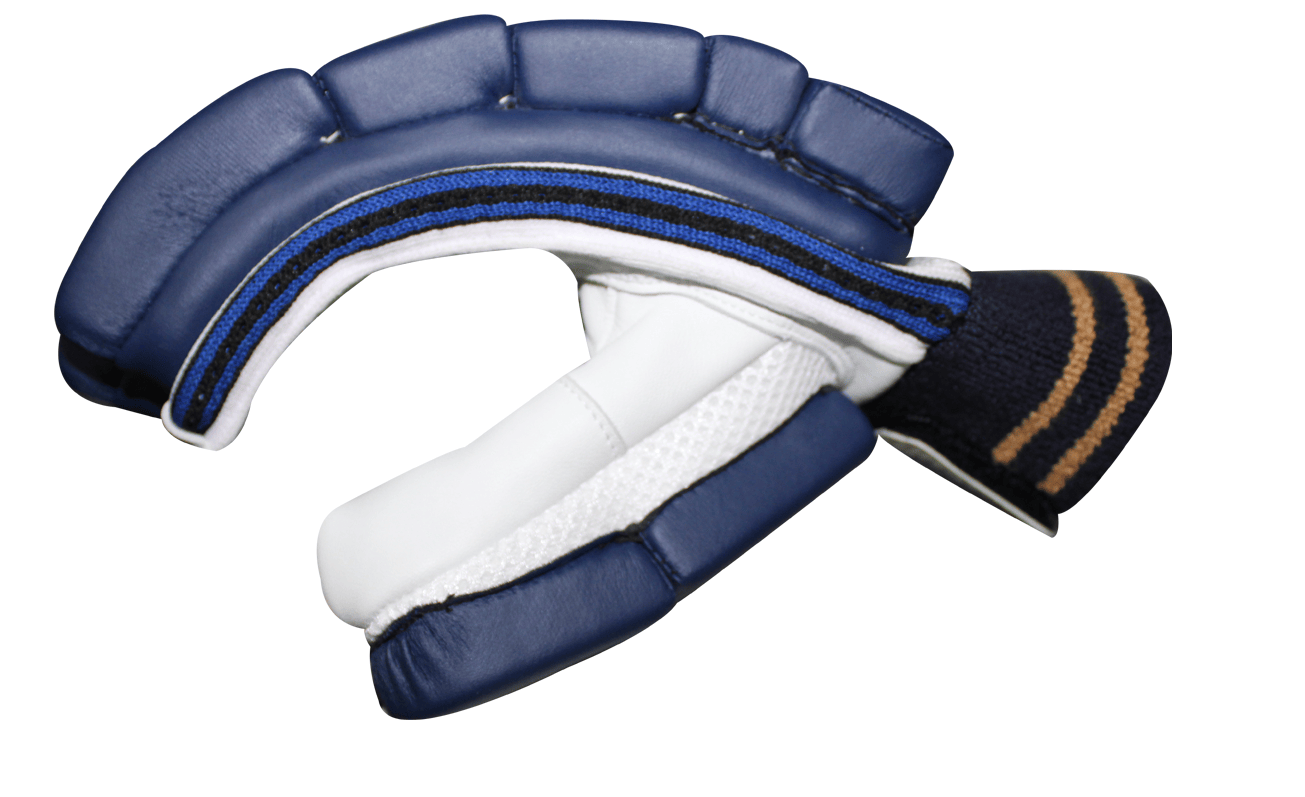 GT: Maximum 2.0 ( Batting Gloves)