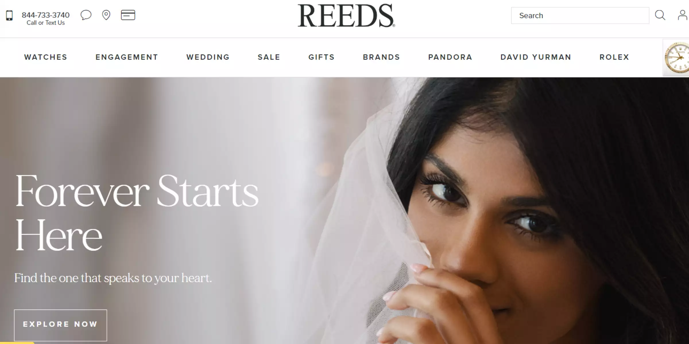 Home page of reeds