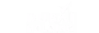 Dubai Holding