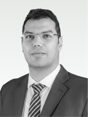 Mohamed Salah Hussien 