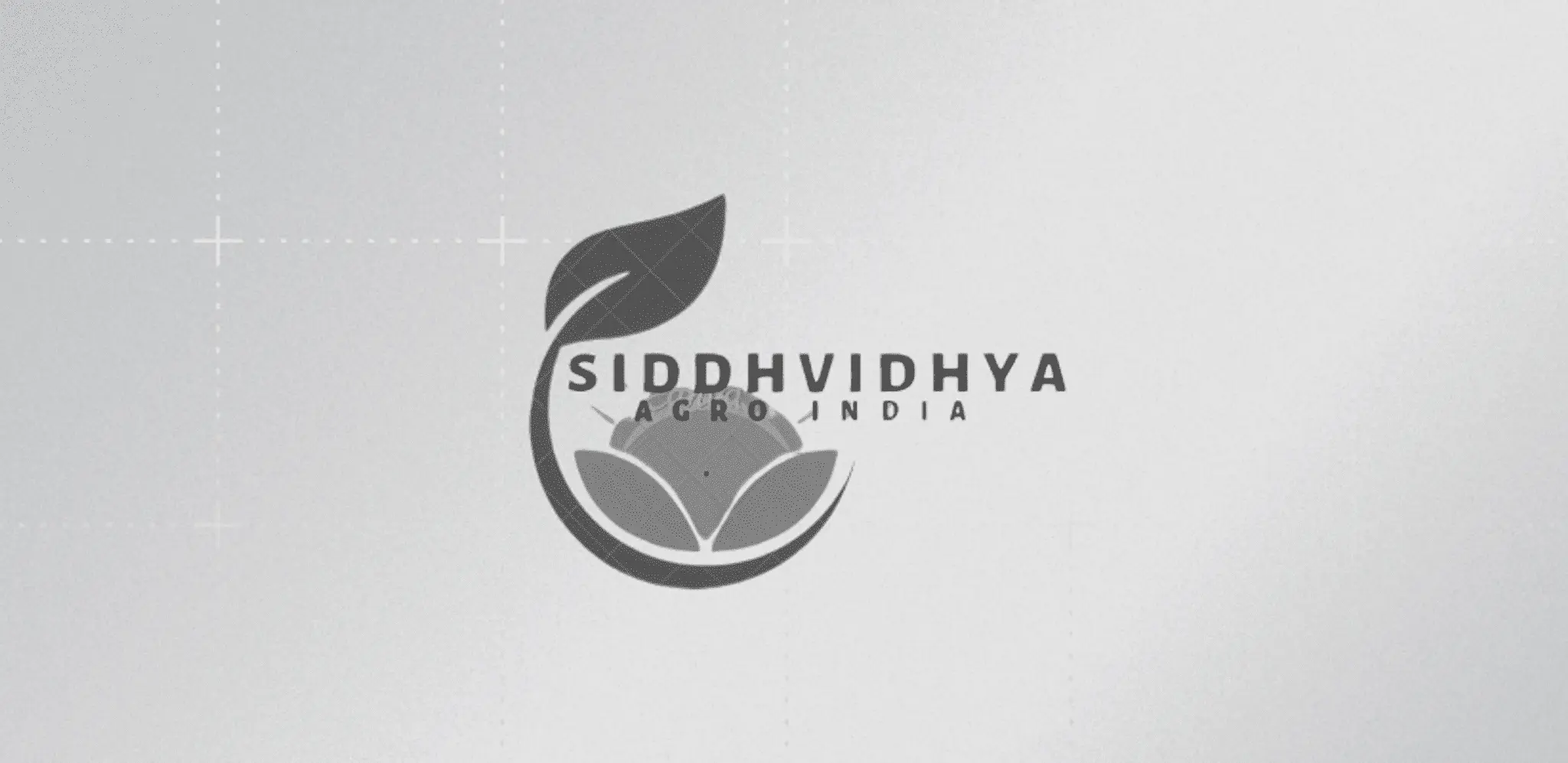 Siddhvidhya