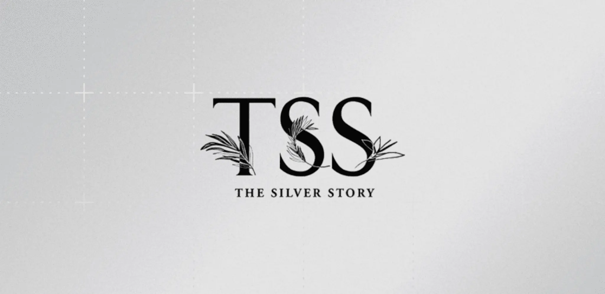 The Silver Story