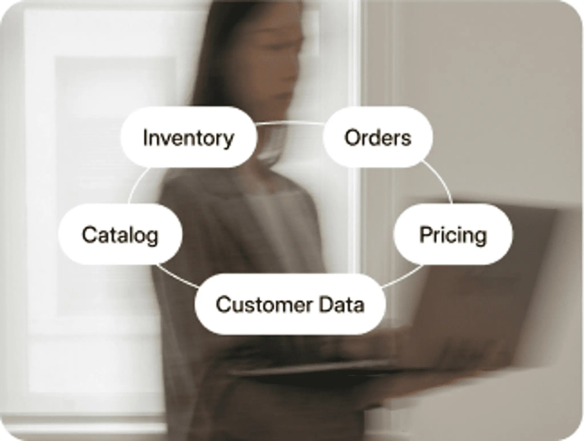 Inventory, orders, pricing and customer data linked together in a live sync diagram