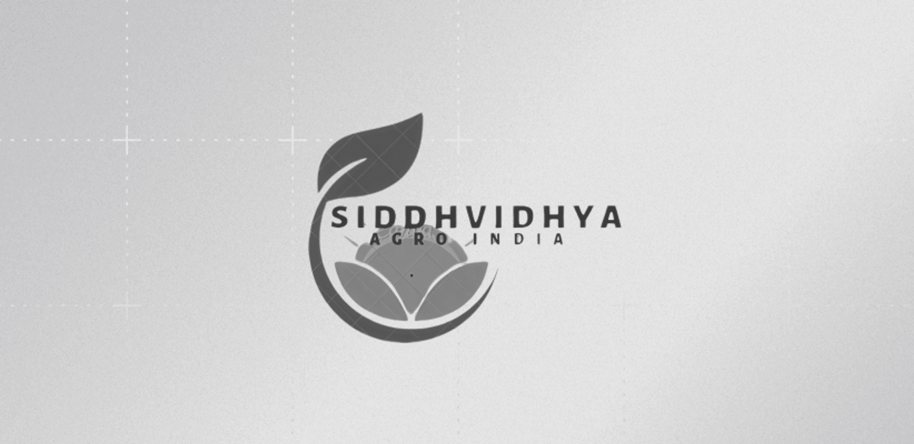 Siddhvidhya