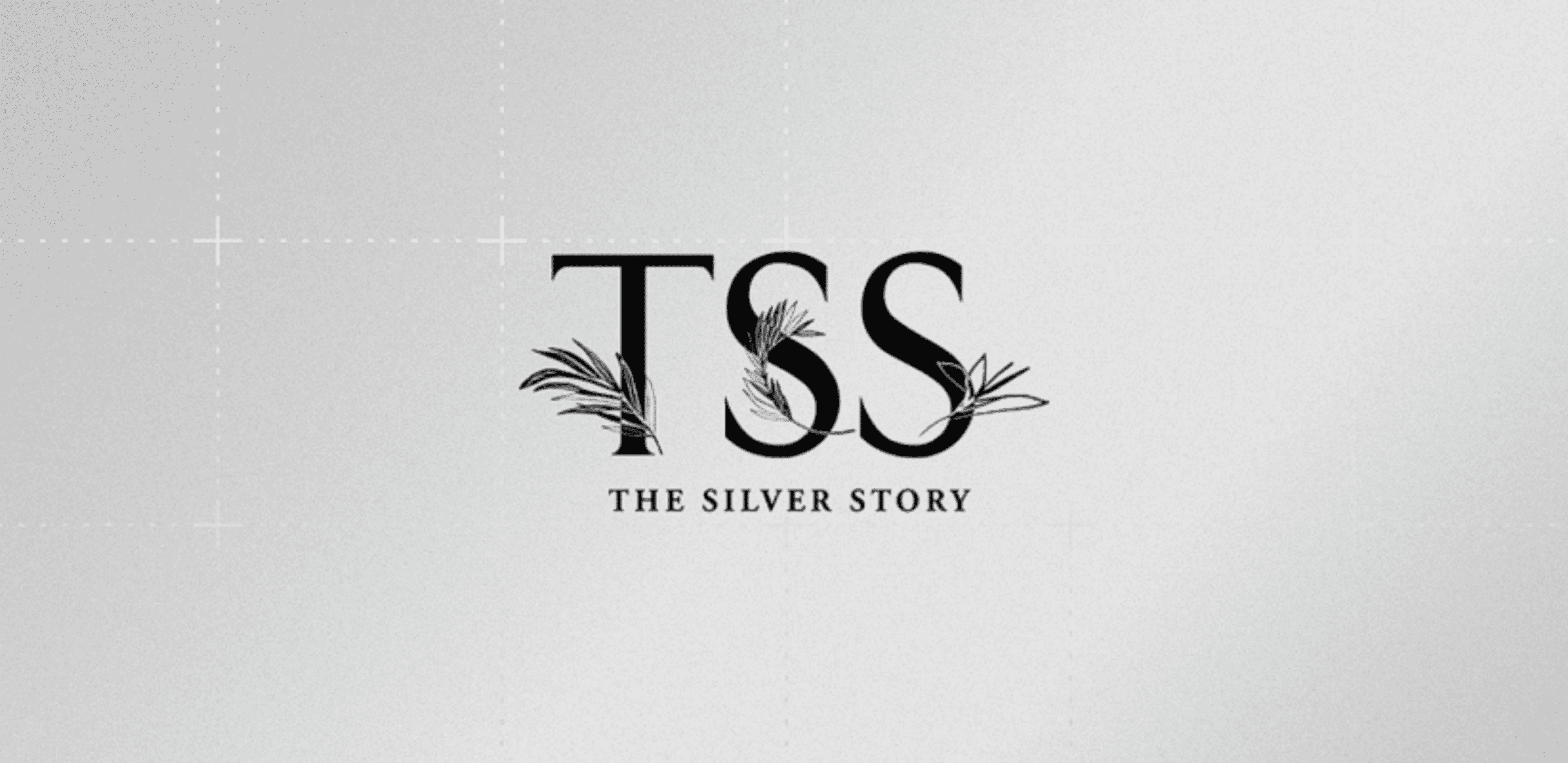 The Silver Story