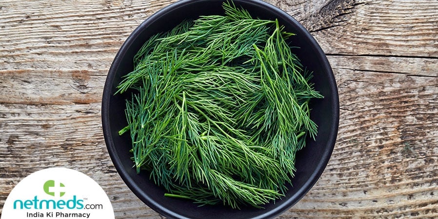 Dill Leaves