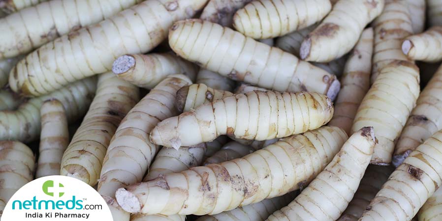 arrowroot tuber