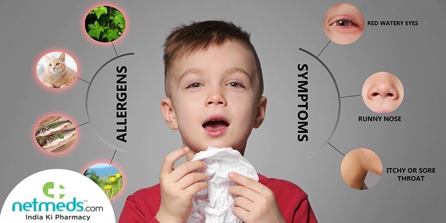Food Allergy Triggers In Kids