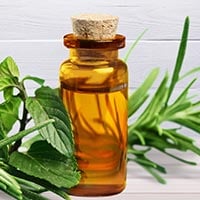 Tea Tree Oil: 5 Health Benefits of This Incredible Essential Oil