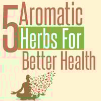 Kitchen Garden: 5 Health Reasons Why You Should Add These Herbs To Your Daily Diet- Infographic