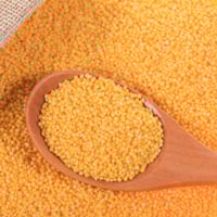 Foxtail Millet: Nutrition, Health Benefits, Ayurvedic Uses, And Recipes