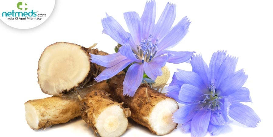 Ayurvedic properties of kasani