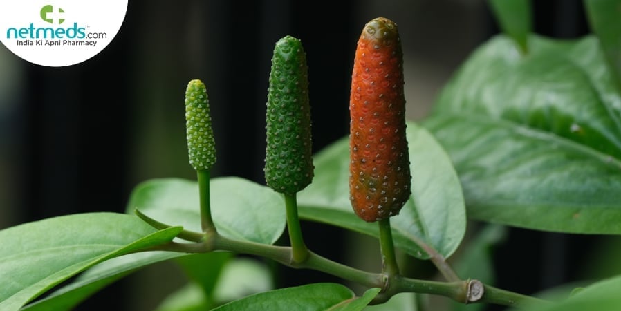 Cubeb Pepper