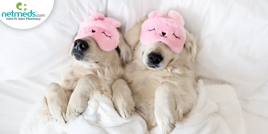 Dogs