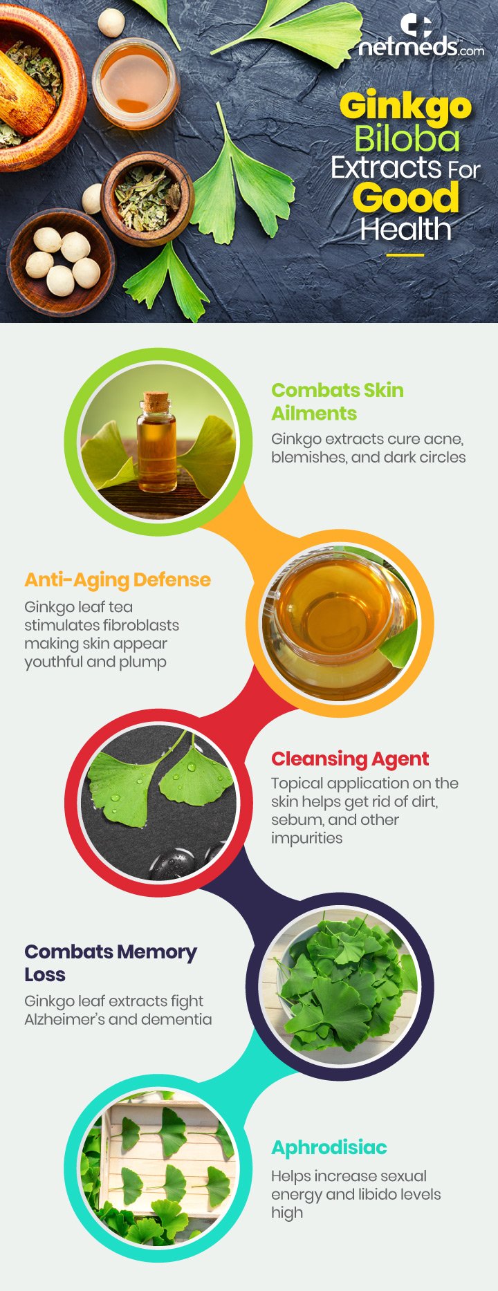 Ginko Biloba Extracts For Good Health