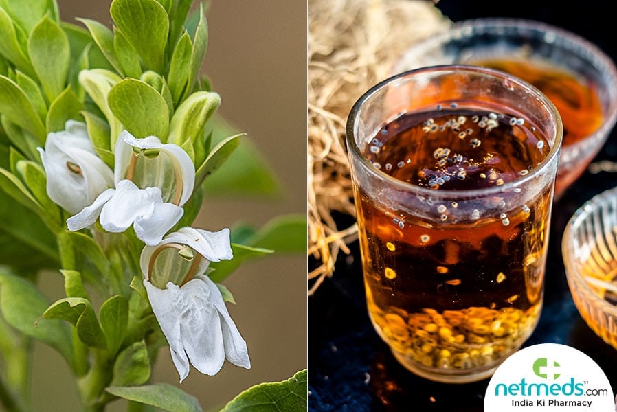 Vasaka herb and drink