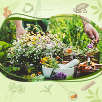 Skin Care: Herbal Hacks To Restore That Glow, Post Festive Celebrations- Infographic