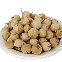 Paneer Dodi/Indian Rennet: The Best Herb For Curing Diabetes 