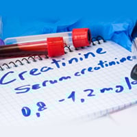 What Do High Creatinine Levels Mean? Causes, Symptoms, And How Does It Determine Kidney Diseases And Disorders?