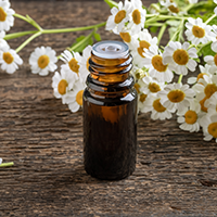 Feverfew: Health Benefits, Uses And Side Effects Of This Flowering Plant