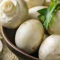Multiple Benefits of Edible Mushrooms