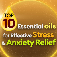 Celebrating 10 Years Of Netmeds: 10 Must-Try Essential Oils for Relaxation And Emotional Well-Being