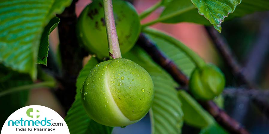 chalta fruit
