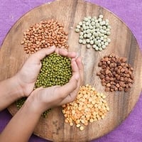 Protein Rich Diet Prevents Alzheimer’s Disease